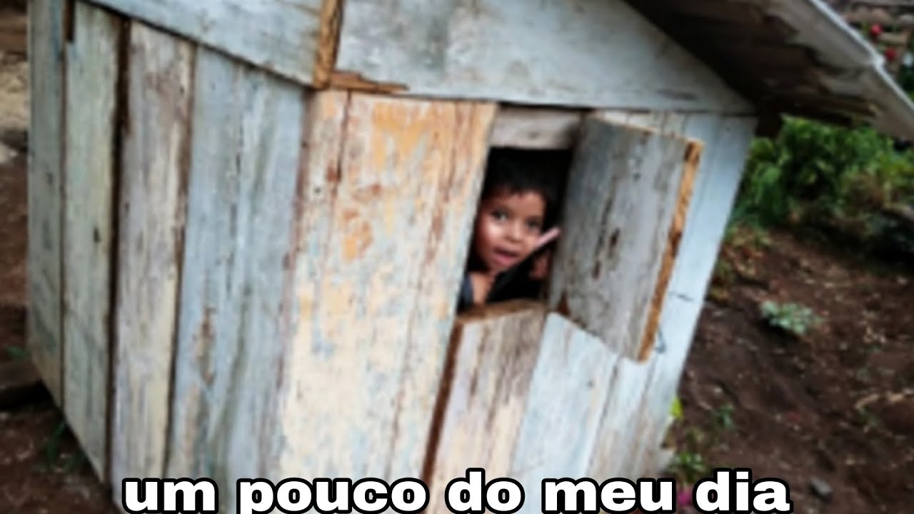 mostrando um pouco do meu dia
