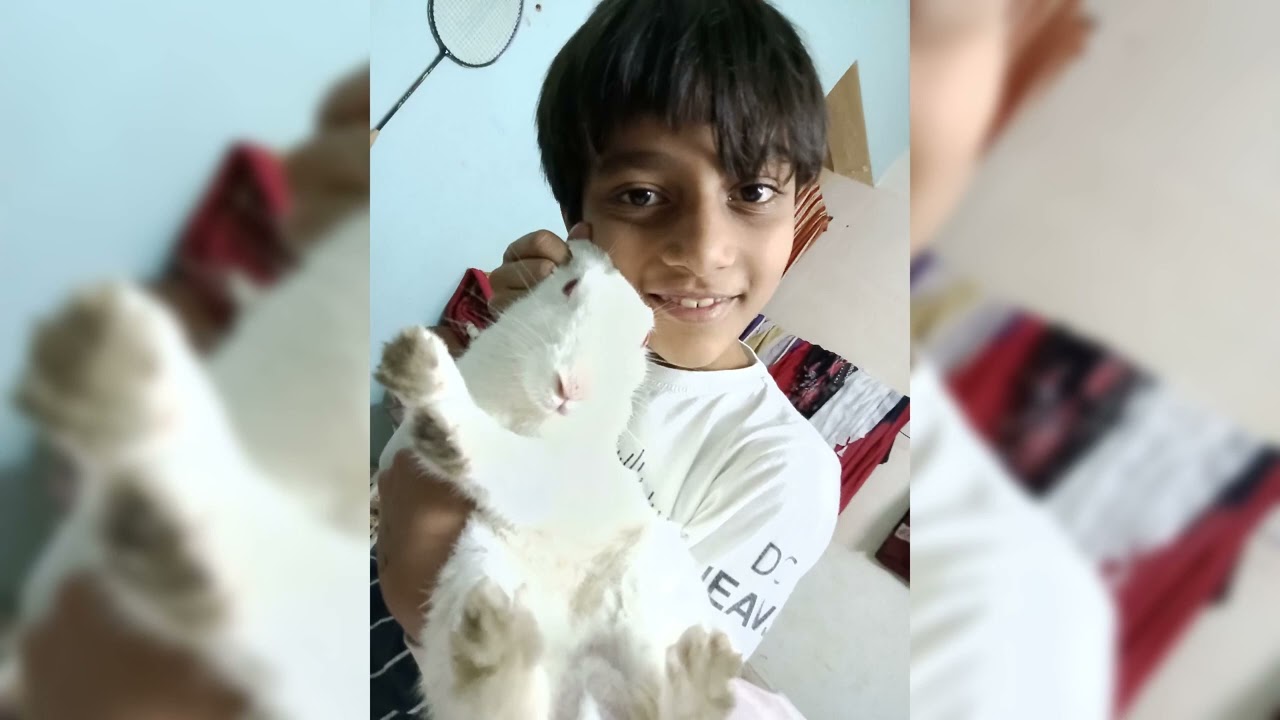 ye video ke  end Tak zarzur dakhna