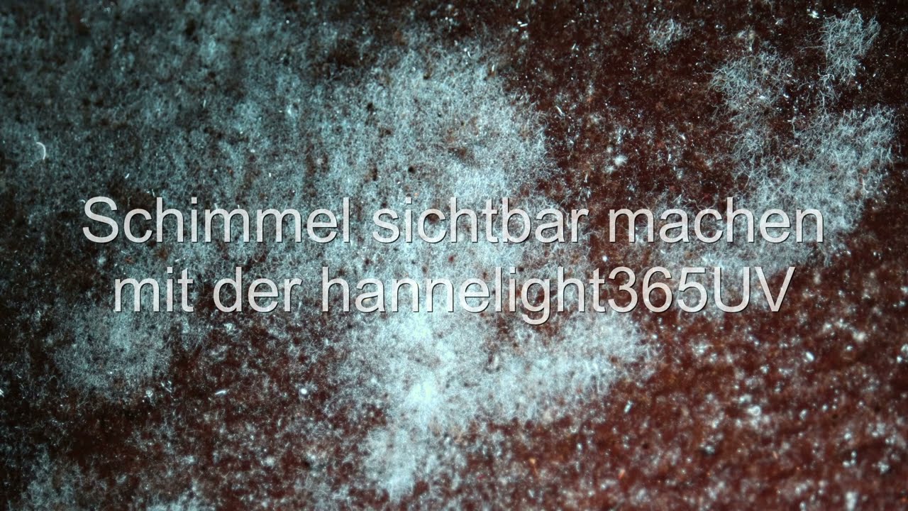 Bauforensik mit der hannelight 365UV