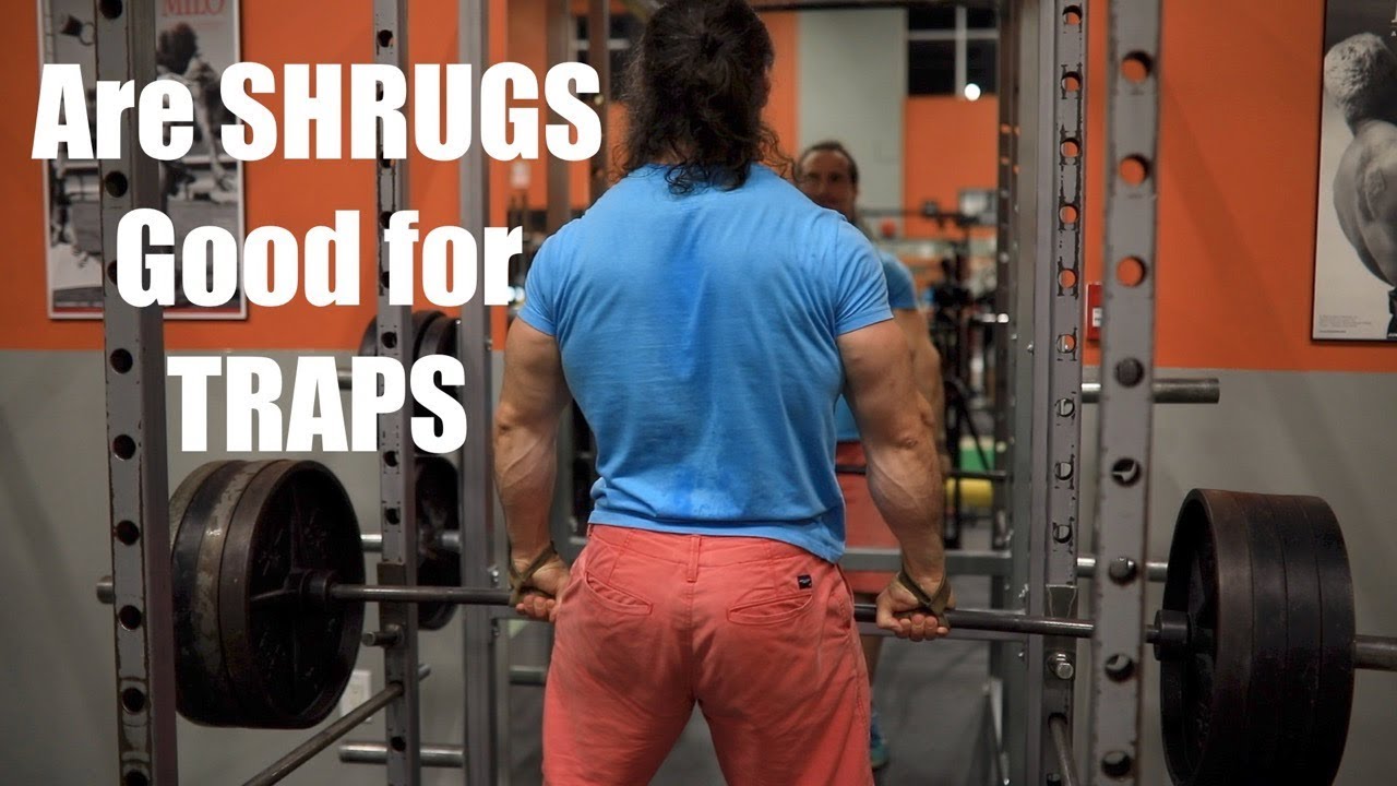 Are SHRUGS GOOD FOR TRAPS?