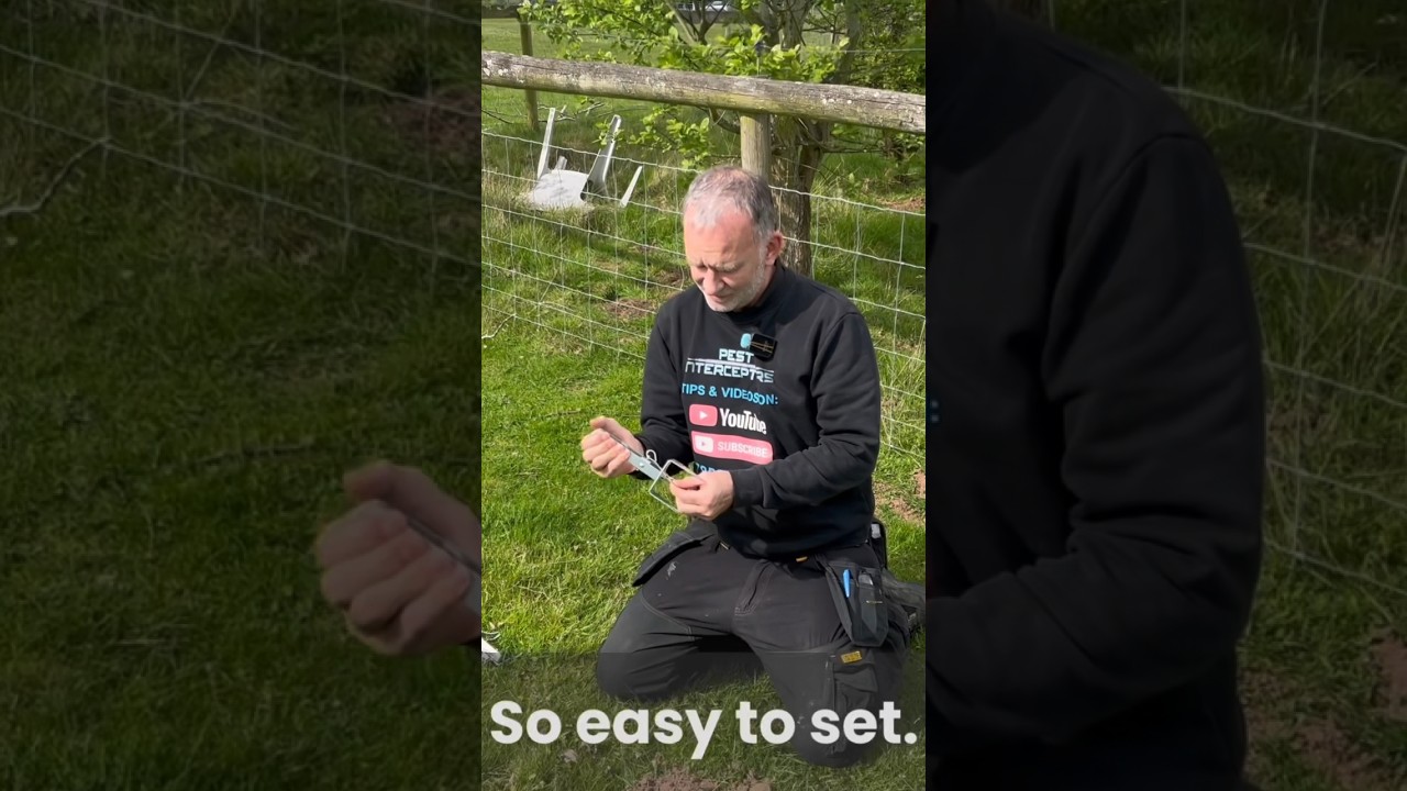 Catching a mole made easy- check out the full video linked for more. #pestcontrol #trapping #mole