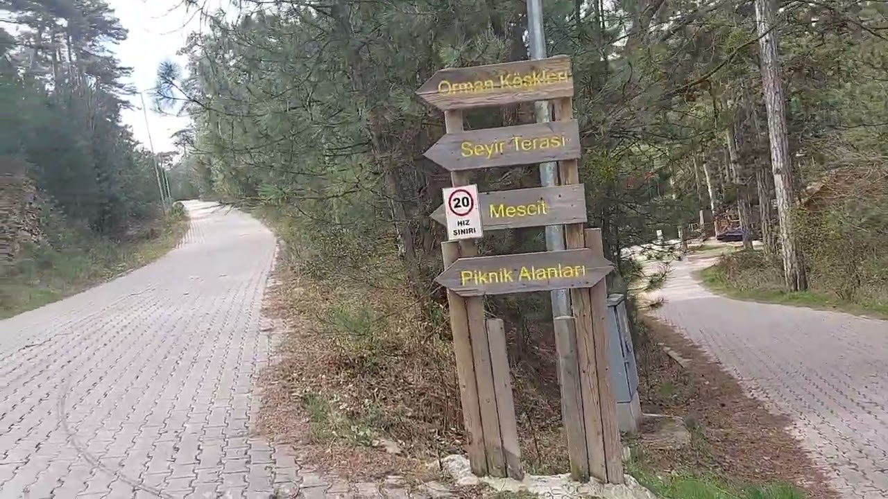 Dikkat! Tamamen Doğaldır / Kütahya Çamlıca Tabiat Parkında Seyir Terasına Gidiyoruz #kütahya #doğa