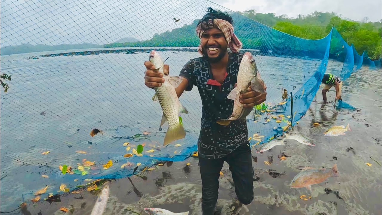 Remal Cyclone এর মধ্যে মাছ ধরতে গিয়ে বিপদে পড়তে হলো😟 ​⁠​⁠@ANDAMAN_HUNTERS