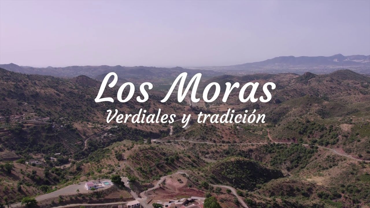 💃🥁DOCUMENTAL LOS MORAS, VERDIALES Y TRADICIÓN | TRAILER