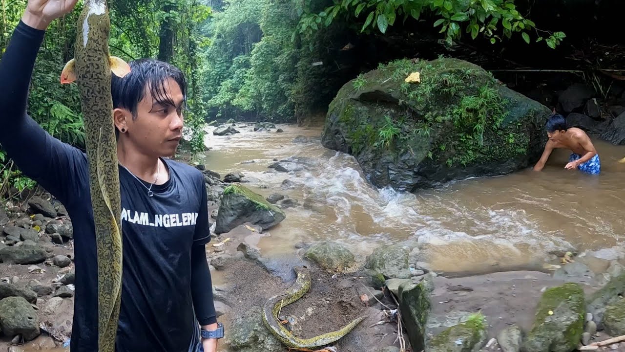 Pancing di terjang air besar & menyelam di bawah batu besar evakuasi sidat kuning.. 