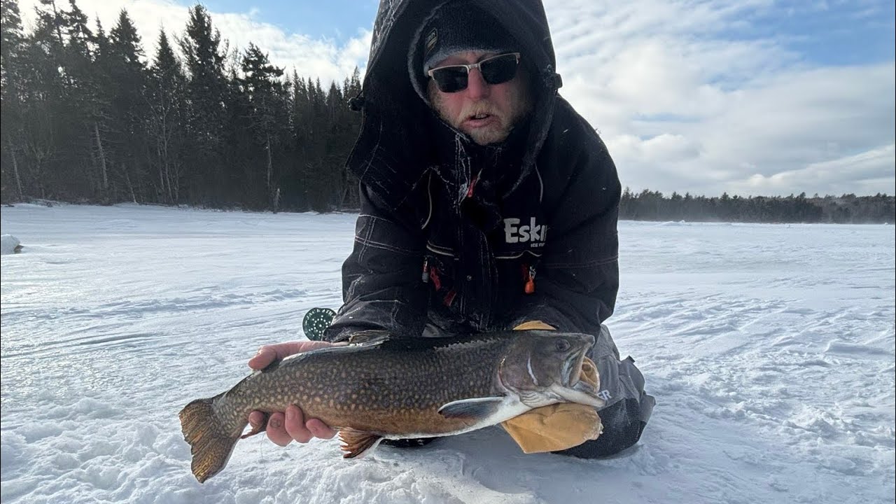 Moosehead Lake | Big Brook Trout Multiple 4+ Lbs