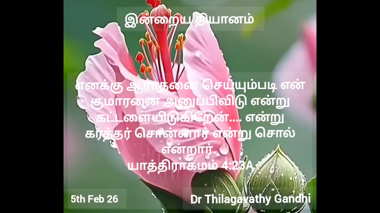 ஆராதனை செய்ய அனுப்பிவிடு