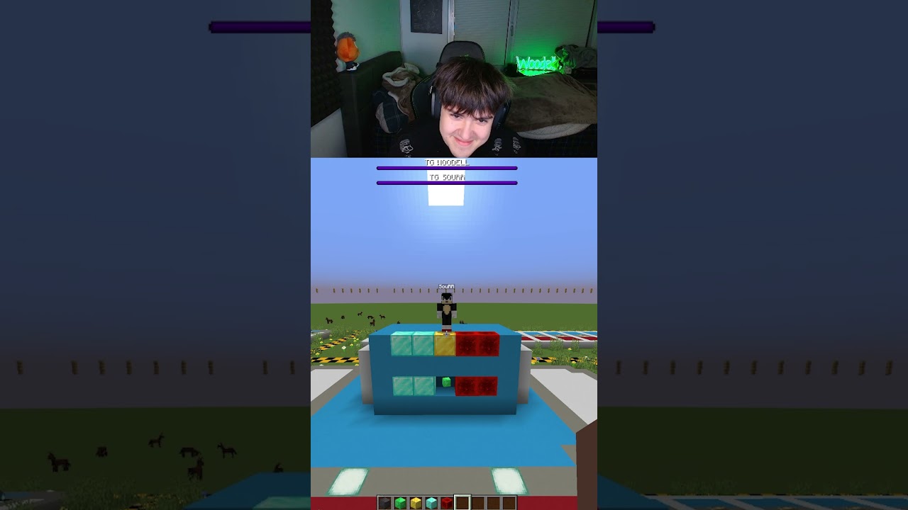 майнкрафт угадай цвет sourr троллинг tg woodell #minecraft #майнкрафт #тикток #приколы