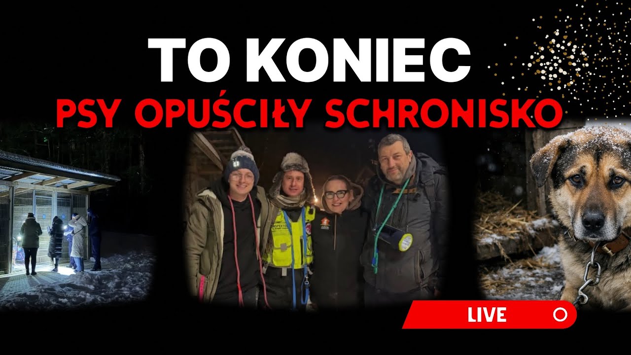 Odbiór psów trwał całą noc! 150 psów opuściło schronisko. #dioz #judyta #pogotowiedlazwierzat #otoz