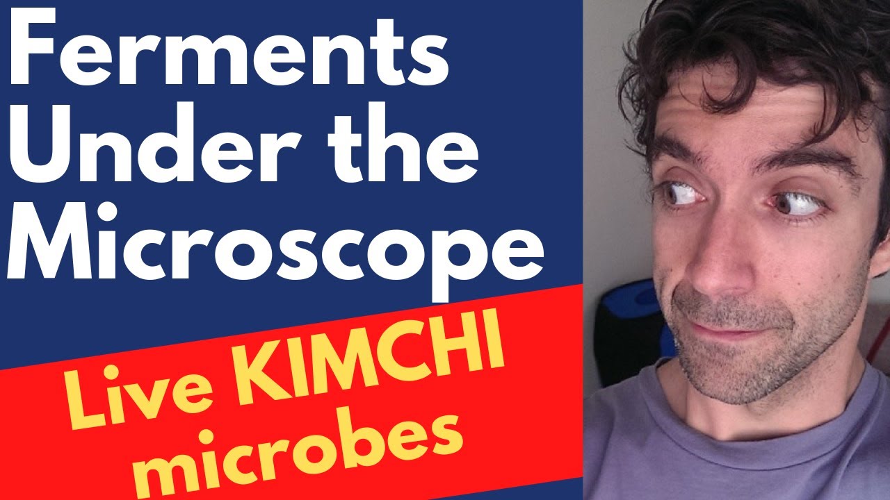 Ferments Under the Microscope: Kimchi Live Stream