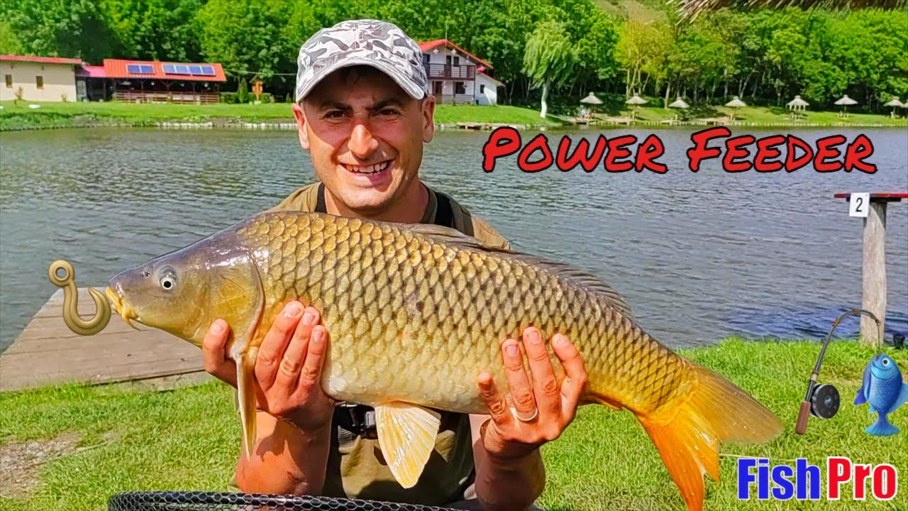 Feeder Fishing la Superlativ cu Crapi Mari și Carași prinși cu Cârlig Mic pe Lac Pescăresc #feeder