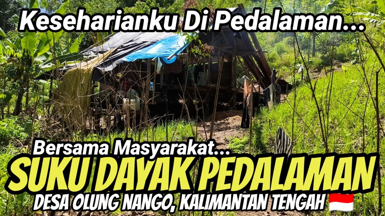 PONDOK TERPAL! KEHIDUPAN KESEHARIANKU BERSAMA MASYARAKAT SUKU DAYAK DI PEDALAMAN HUTAN KALIMANTAN
