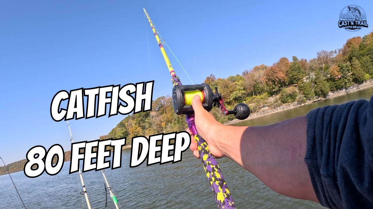 Blue Catfish in DEEP WATER on The Cumberland River | #catfishing #bridgefishing