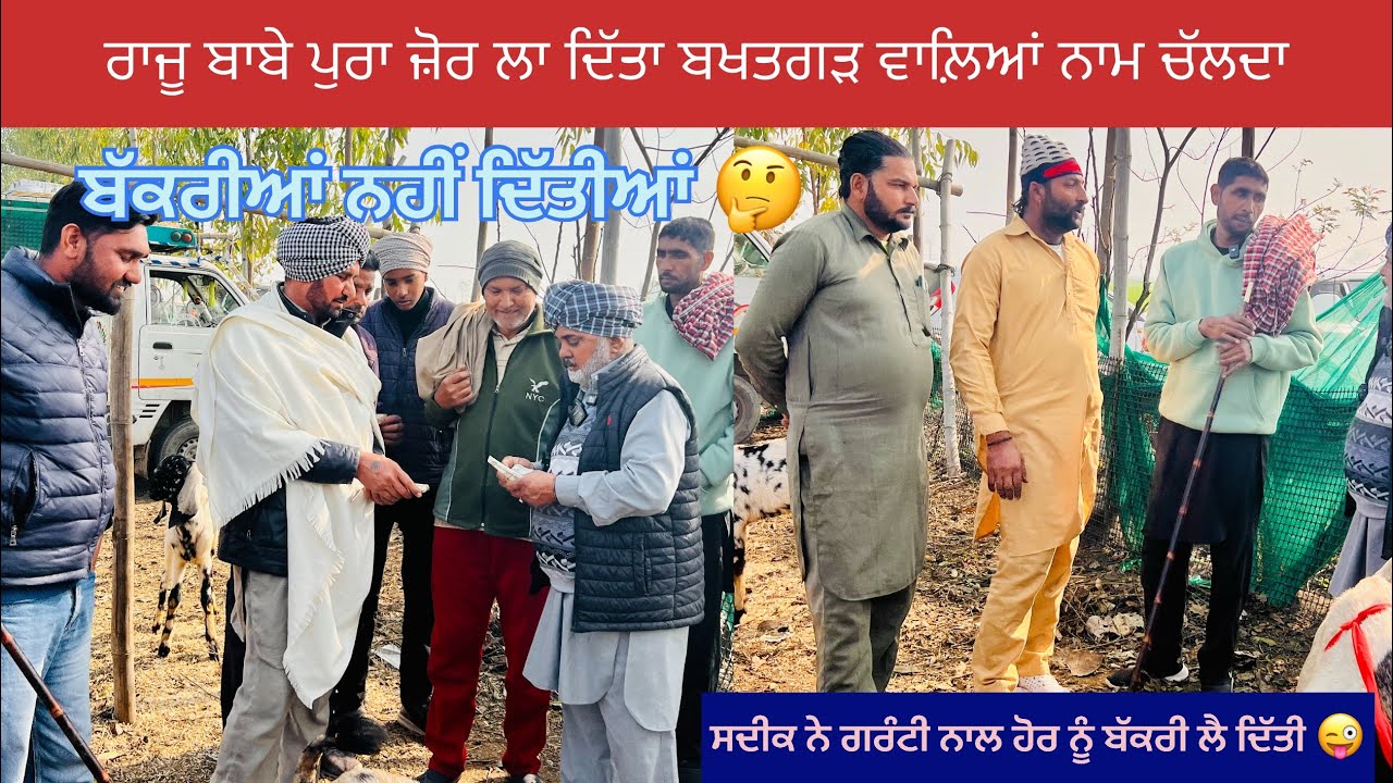 ਸਦੀਕ ਨੇ ਬਖਤਗੜ ਵਾਲੀਆ ਤੋਂ ਗਰੰਟੀ ਨਾਲ ਬੱਕਰੀ ਲੈ ਦਿੱਤੀ 😱#bakramandi #naveedkhangoatfarm #goatfarming #goat