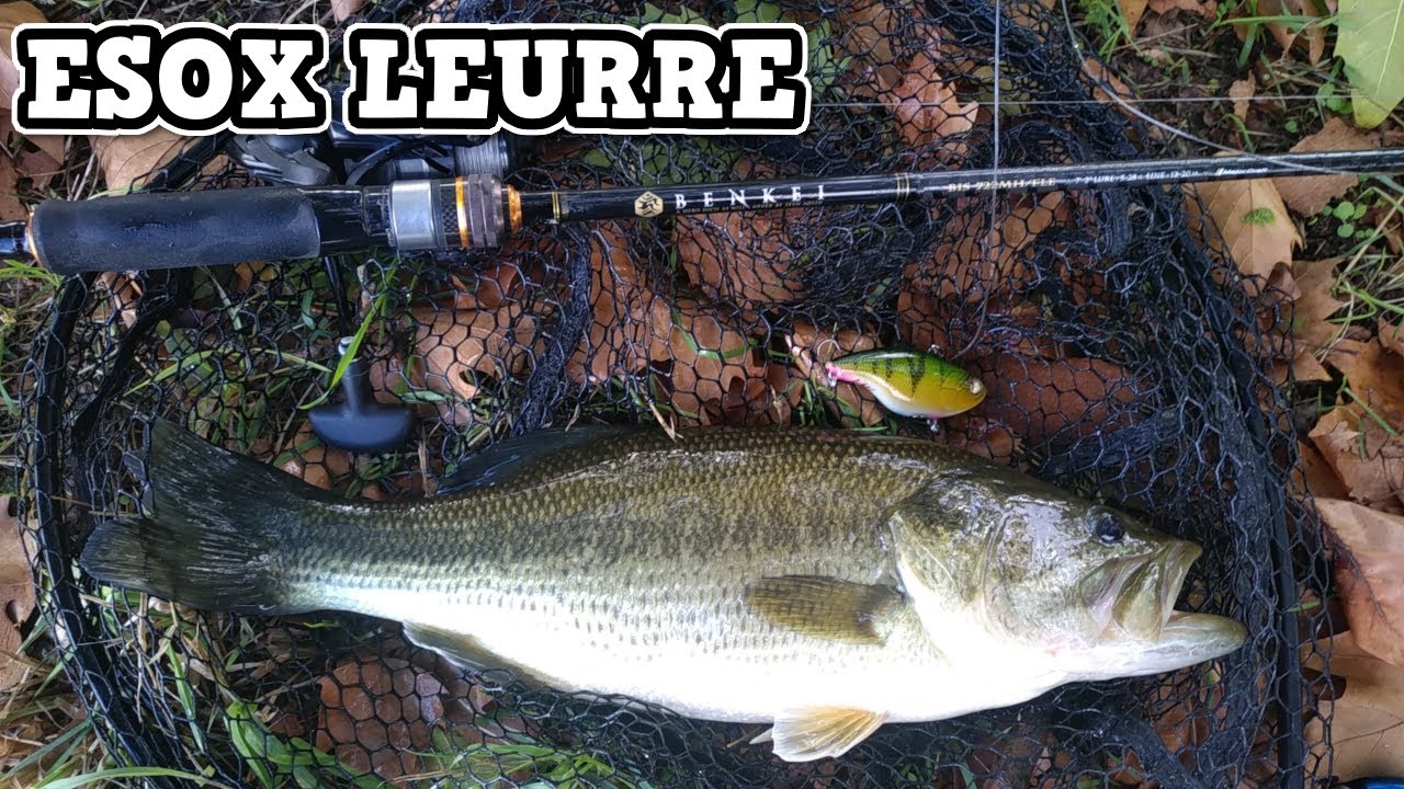 BASS et BROCHETS au lipless ESOX LEURRE