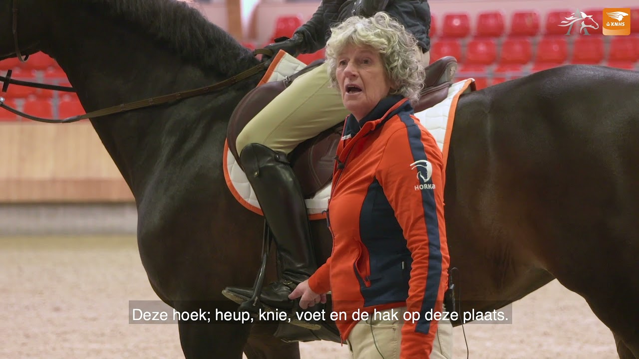 KNHS Tips van de Top - De verlichte zit