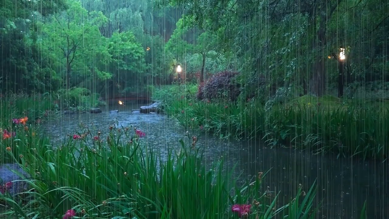 The beautiful little river is raining(379) , sleep, relax, meditate, ASMR, Real Shot