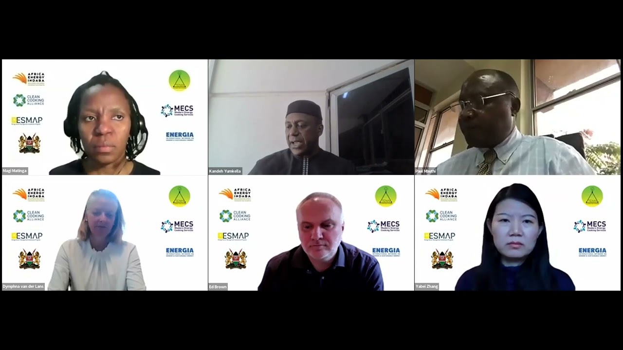 SPECIAL PLENARY PANEL: Clean Cooking Solutions