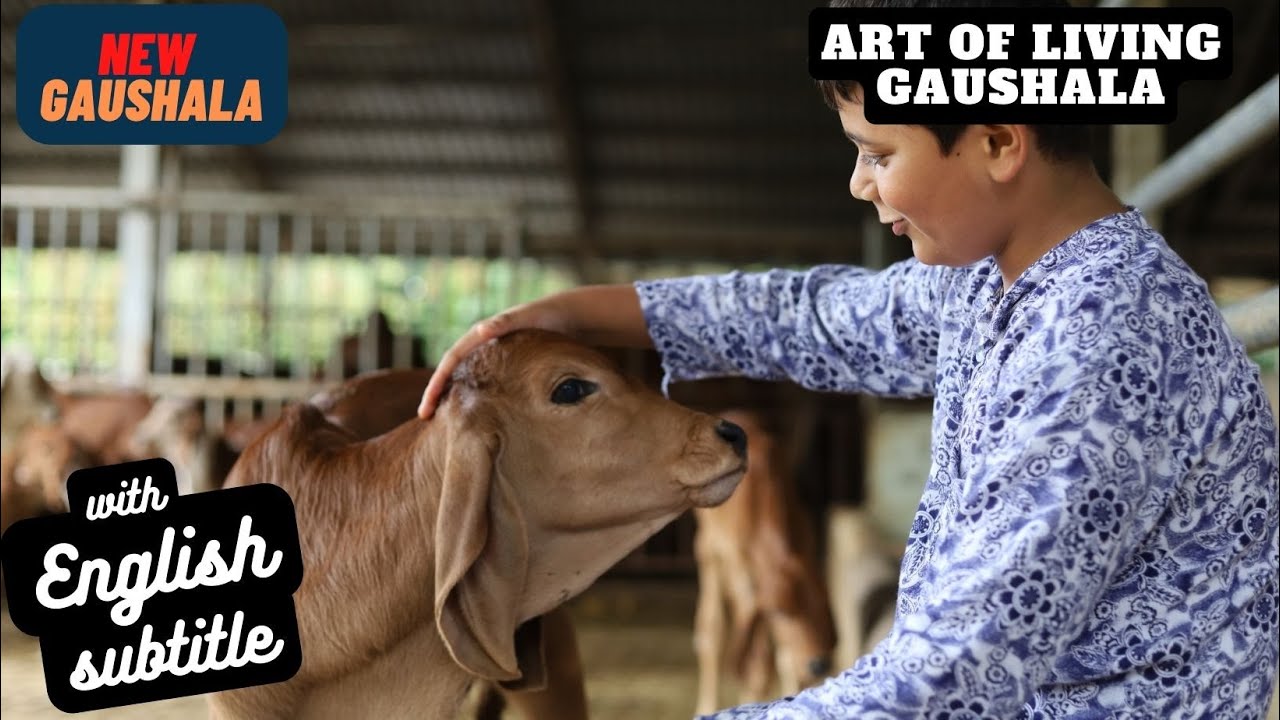 ART OF LIVING NEW GAUSHALA | GAUSHALA DETAILS | WITH ENGLISH SUBTITLE