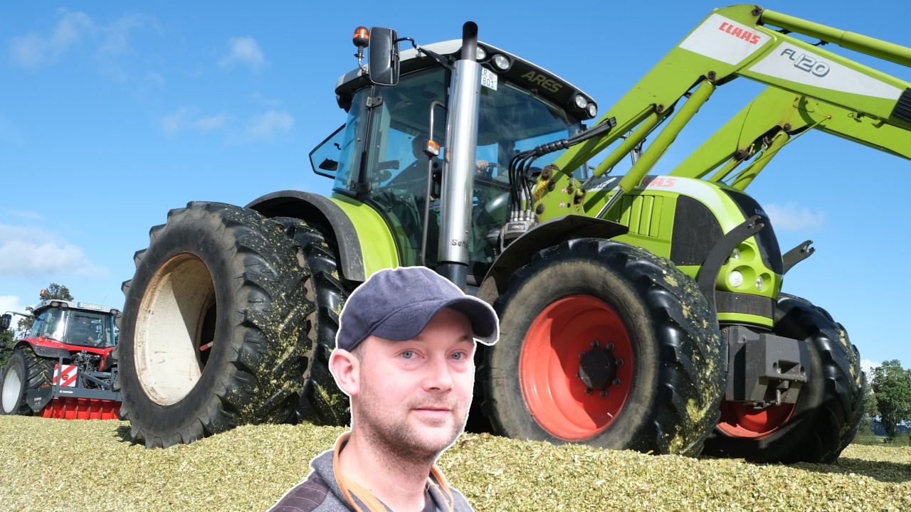 Maisernte bei Schulte in Breinermoor (Ostfriesland) 2024
