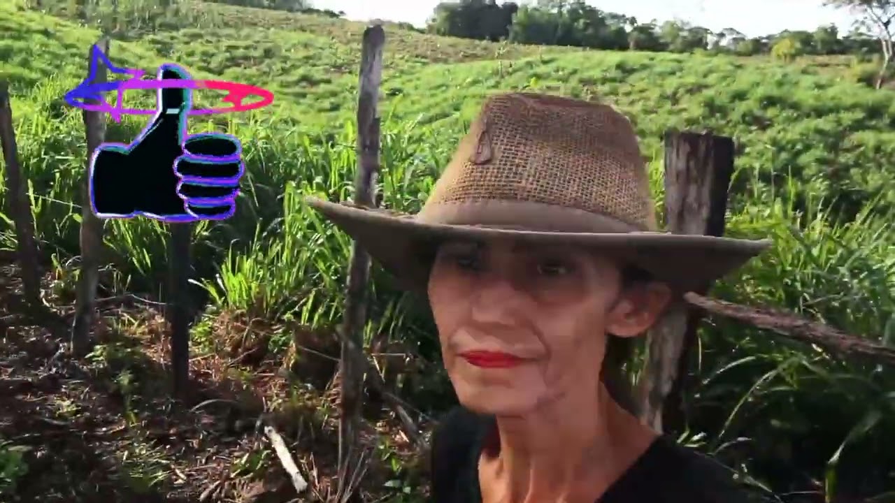 Rotina diária da vida