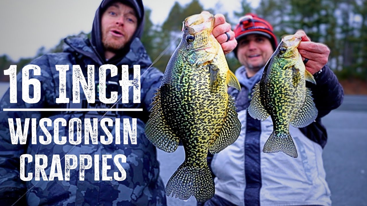 MONSTER Crappie in Northern Wisconsin! (16 inches)
