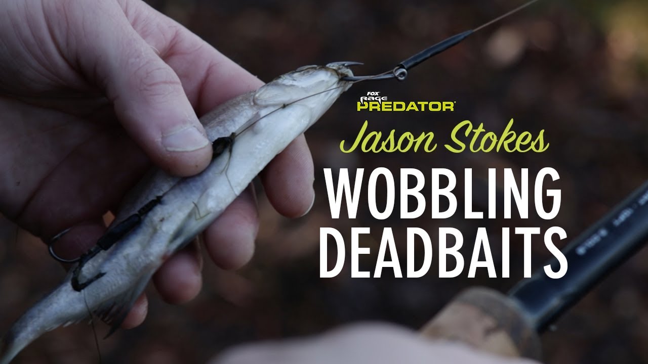 *** FOX RAGE TV *** WOBBLING DEADBAITS