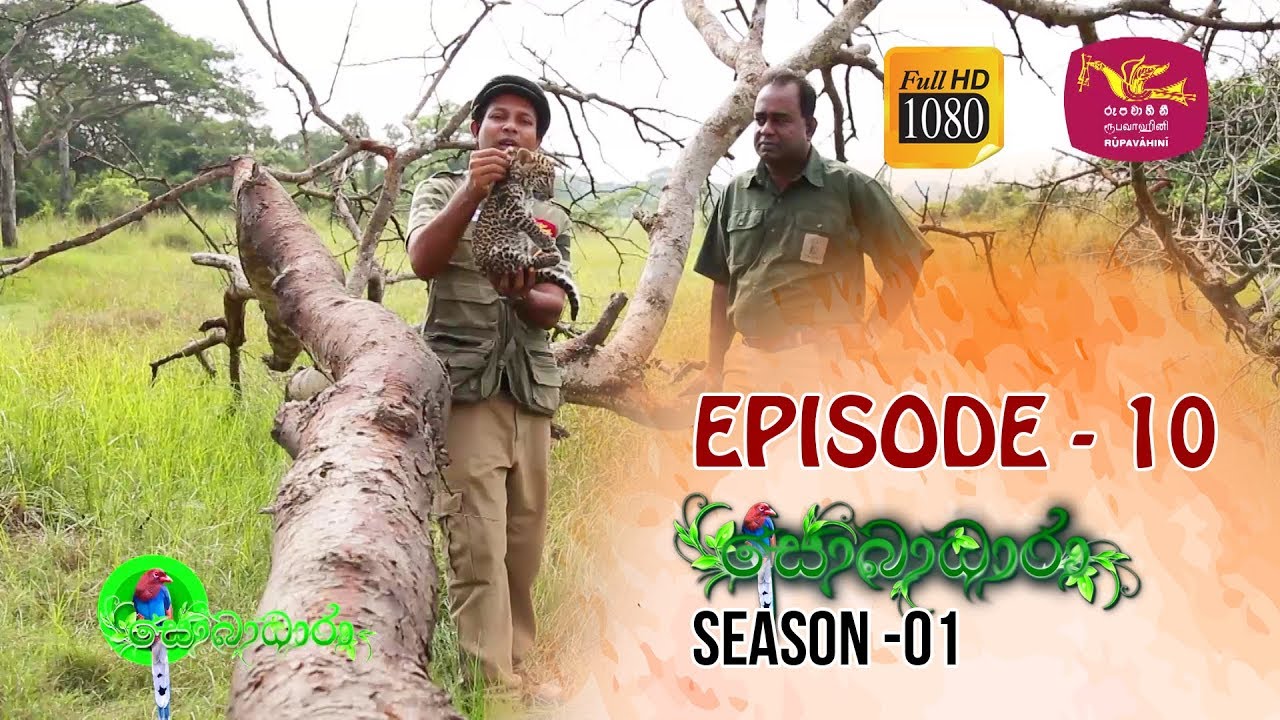 Sobadhara | Season - 01 | Episode 10 | Sobadhara Rupavahini