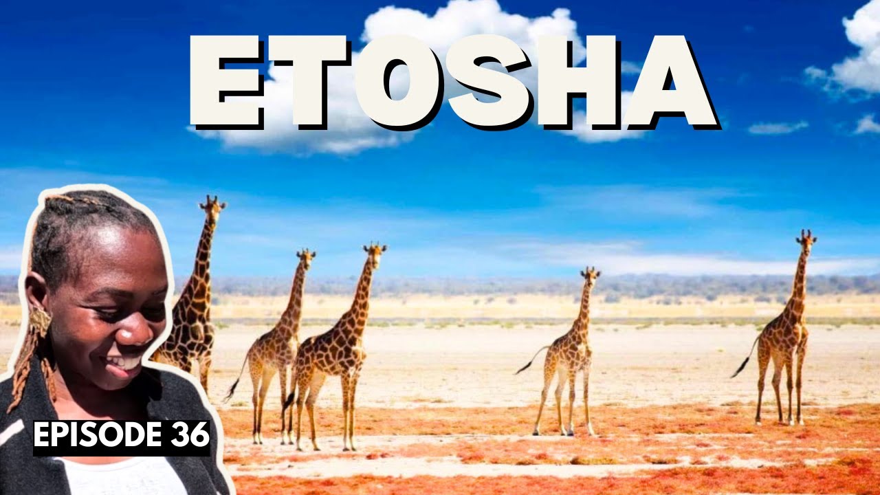 First Time In Etosha National Park, Namibia | Did NOT Expect This! Season 2 Episode 36
