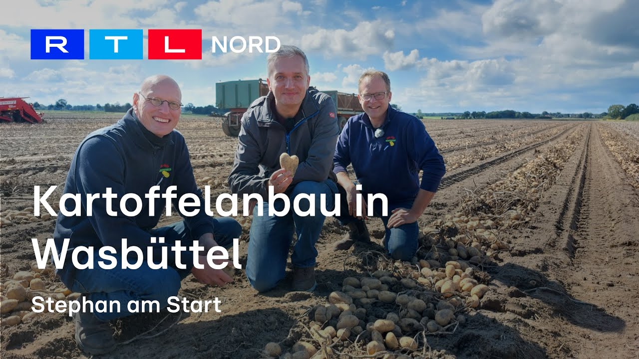 Erntezeit in der Kartoffelhochburg Niedersachsen