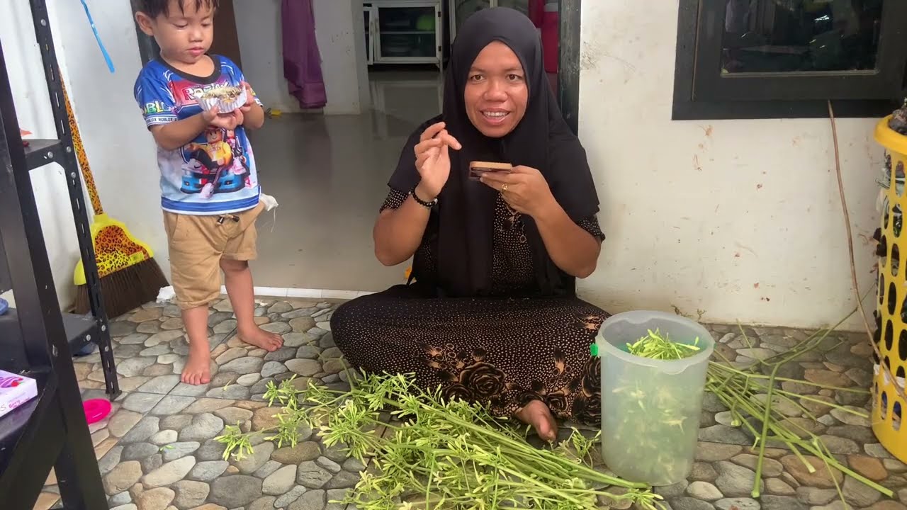 Lepas saya kena sakit ini anak lagi yang kena lanjut panen kita dibelakang