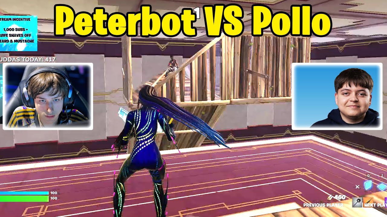 Peterbot VS Pollo 1v1 TOXIC Boxfights!