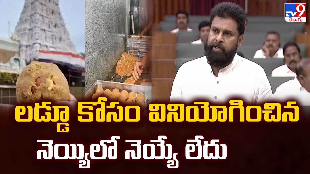 Pawan Kalyan Comments on Laddu Row : లడ్డూ కోసం వినియోగించిన నెయ్యిలో నెయ్యే లేదు - TV9