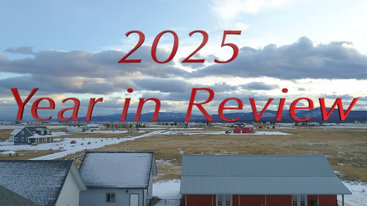 Обзор 2025 года