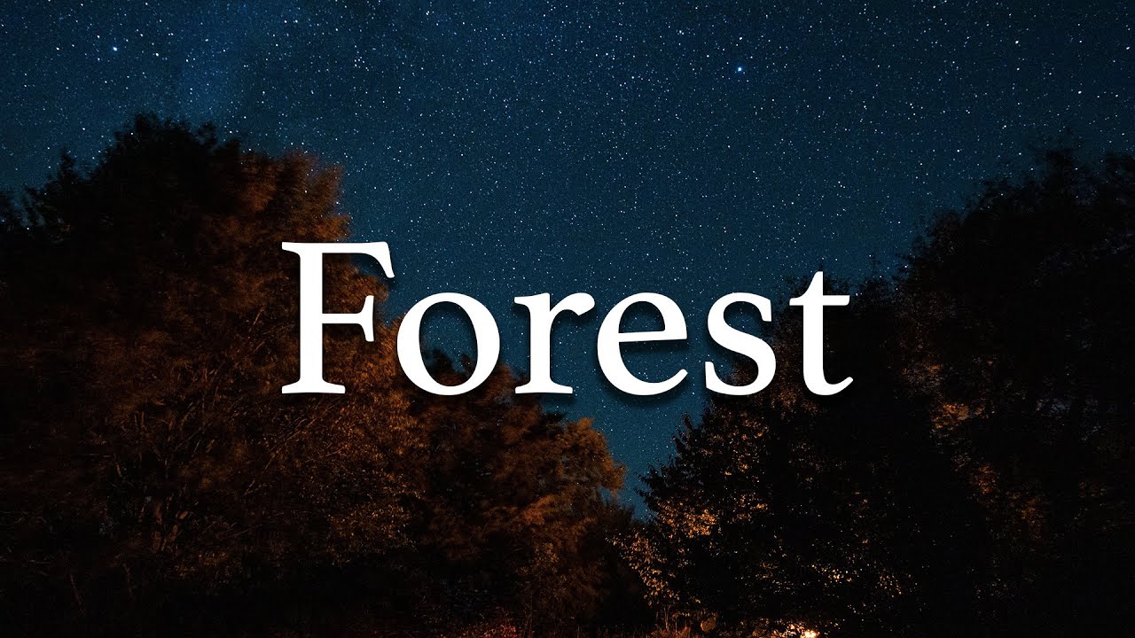 Forest sounds at night | Jungle nightlife sounds | Nature sounds 🌳🍃
