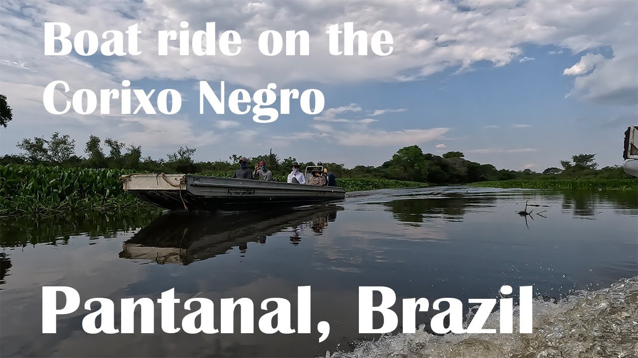 Boat ride along the Corixo Negro in the Pantanal, Brazil