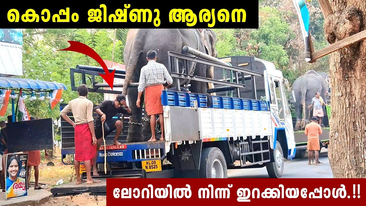 കൊപ്പത്തിന് അറിയാം ആര്യനെ ഇറക്കാൻ..Koppam Jishnu❤️Aryanandhan elephant New Video🔥