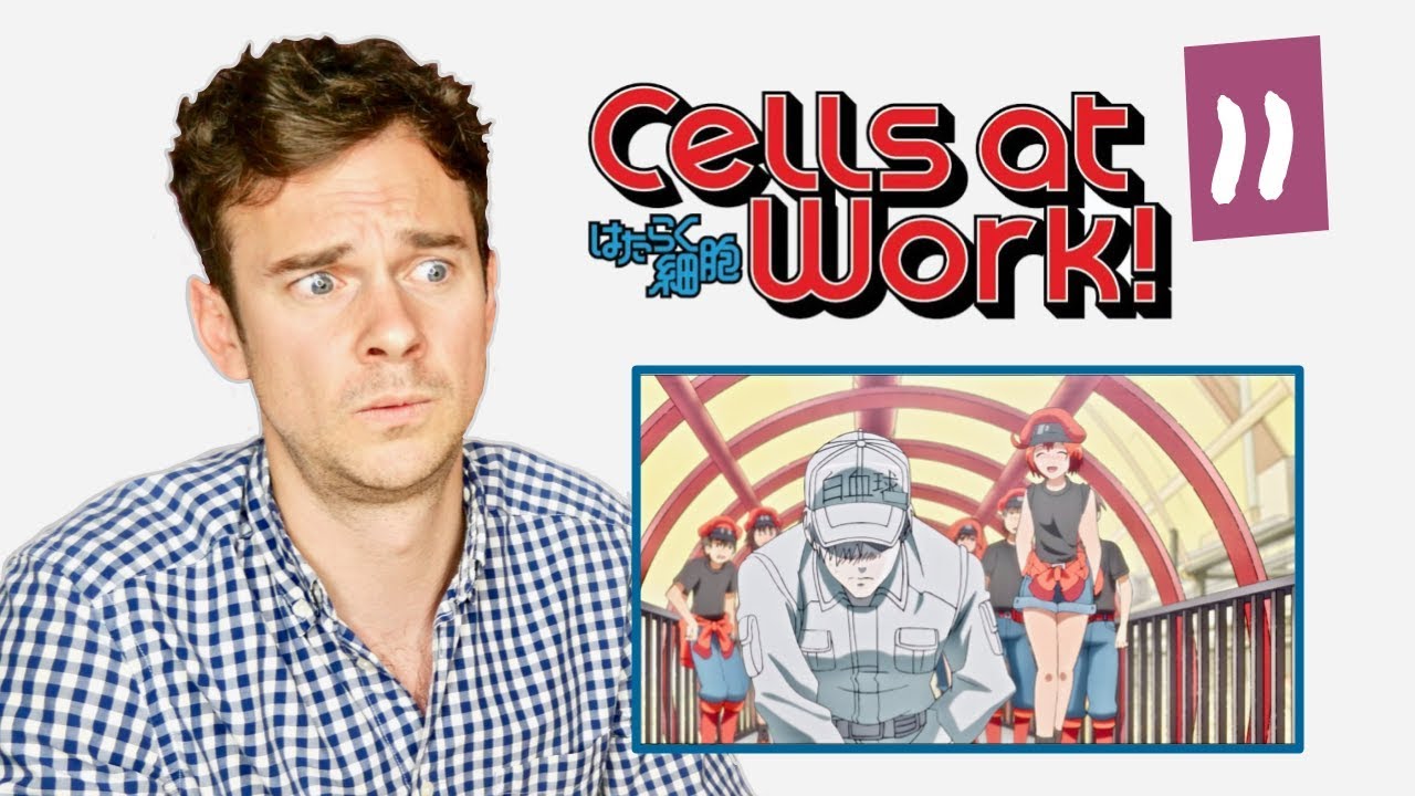 DOCTOR reacts to CELLS AT WORK! // Episode 11 // 