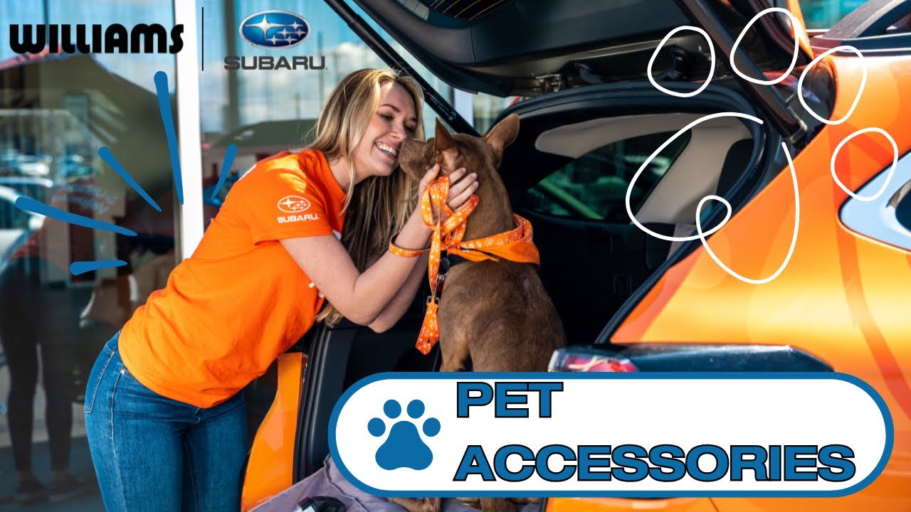 Subaru Pet Accessories: Keep Your Furry Friend Safe & Comfortable | Subaru Genuine Accessories