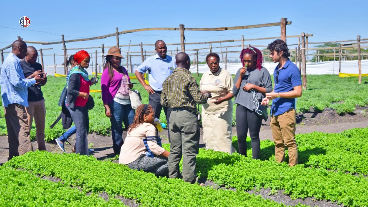 Transforming Farmers to Investors