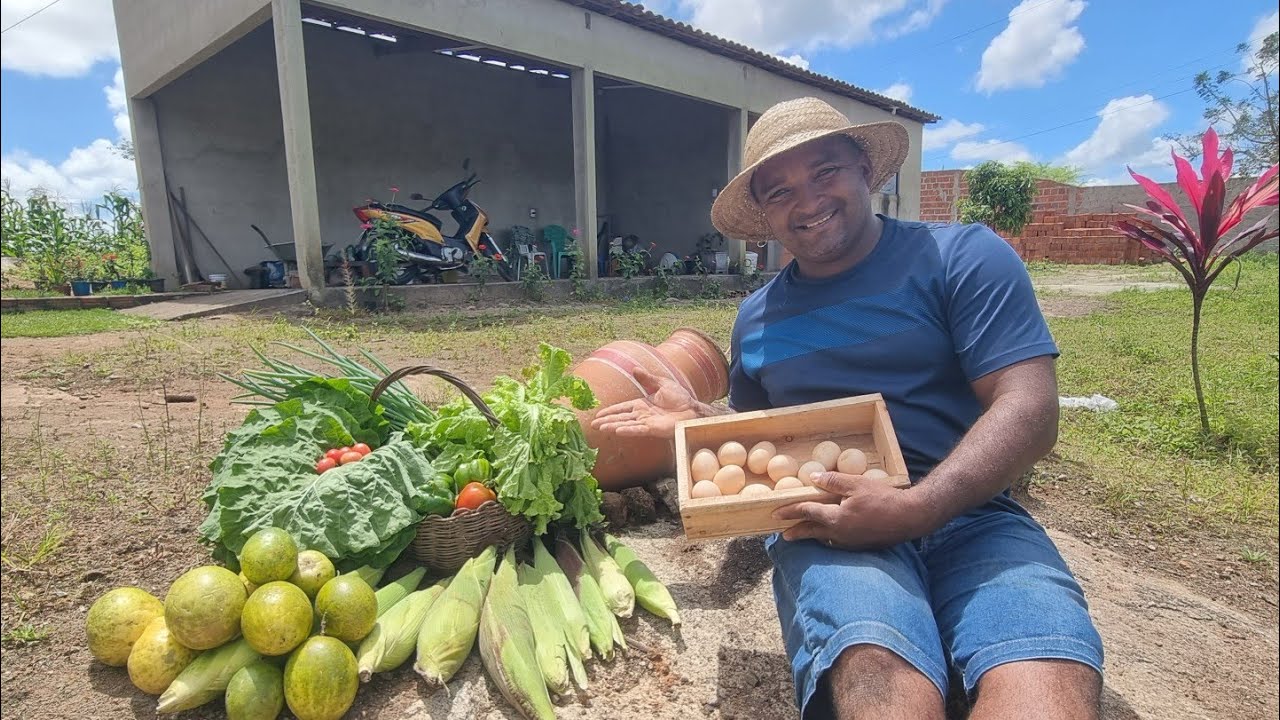 COLHEITA NO SÍTIO COM MUITA FARTURA ISSO É A VIDA DE QUEM MORA NO INTERIOR LUGAR DE PAZ