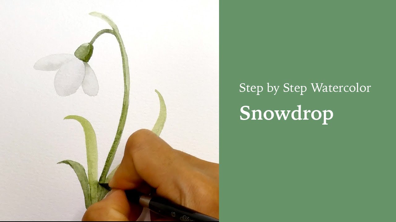 Step by Step Realtime Watercolor: Snowdrop Flower