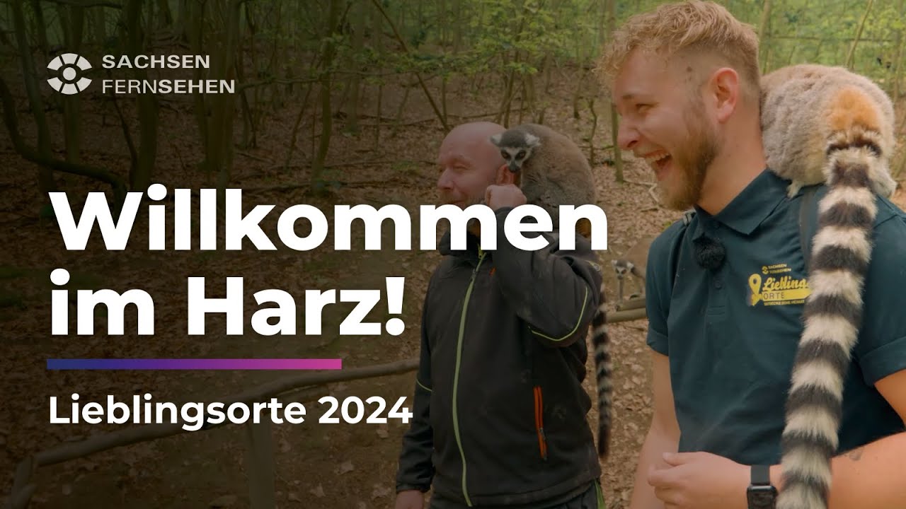 EINEN TAG IM HARZ: Exotische Kattas, Rosenmeer & historische Schlösser I Sachsen Fernsehen