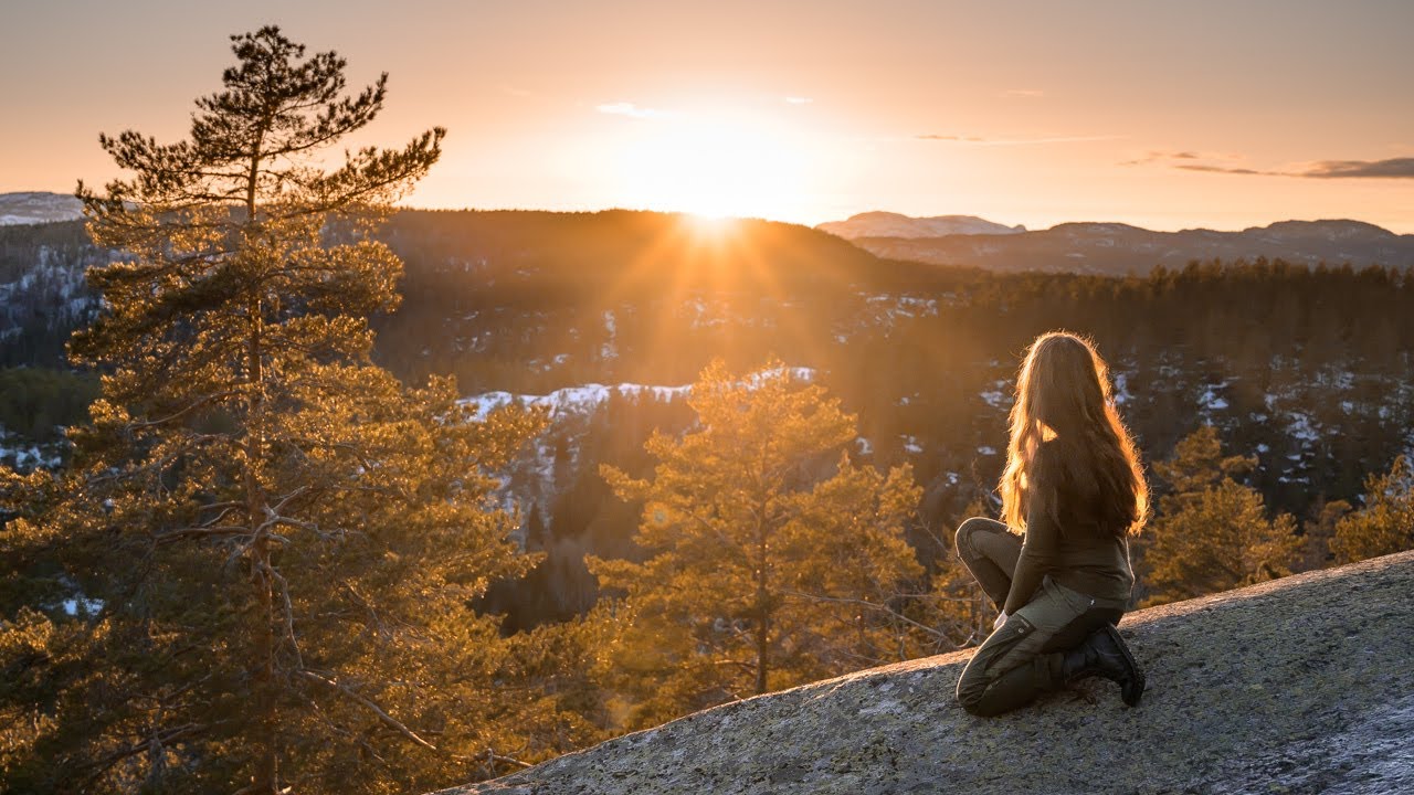 my life in the Norwegian forest. Story 7