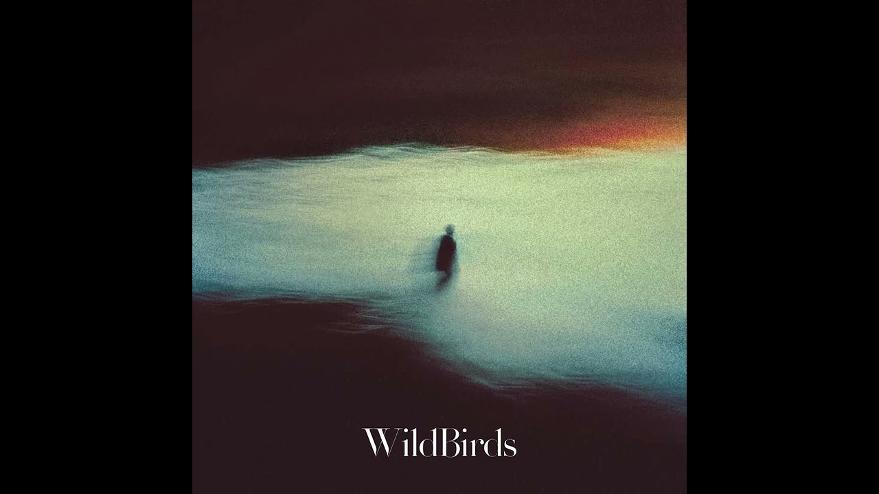 TREPA - WILDBIRDS (Audio)