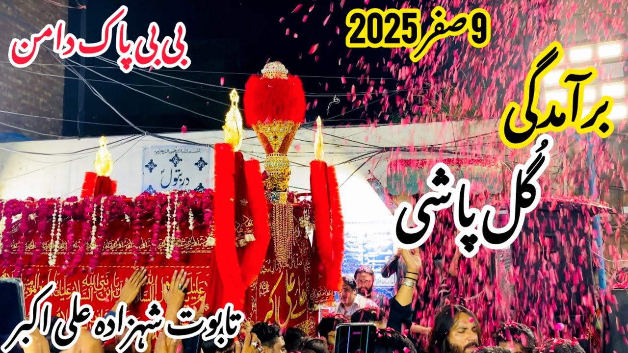 9 Safar 2025 | Baramdagi Taboot Shehzada Ali Akbar AS | Darbar Bibi Pak Daman Lahore