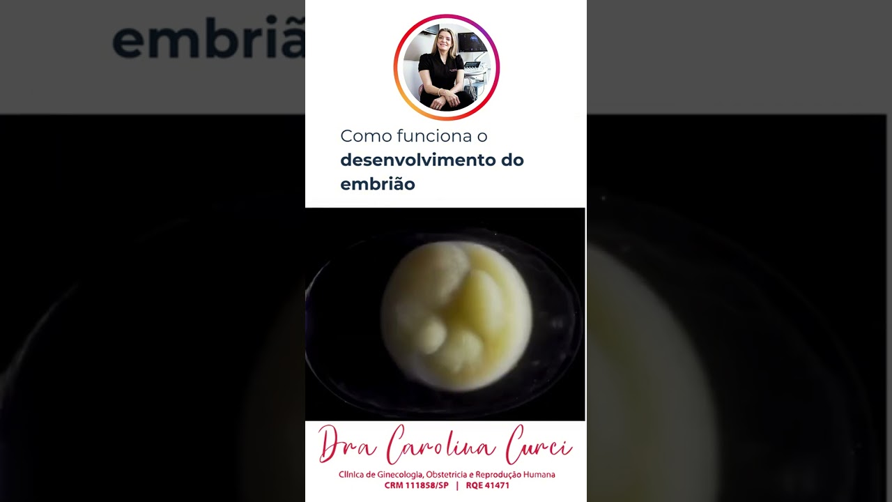 Você Sabia Como é o desenvolvimento do embrião?