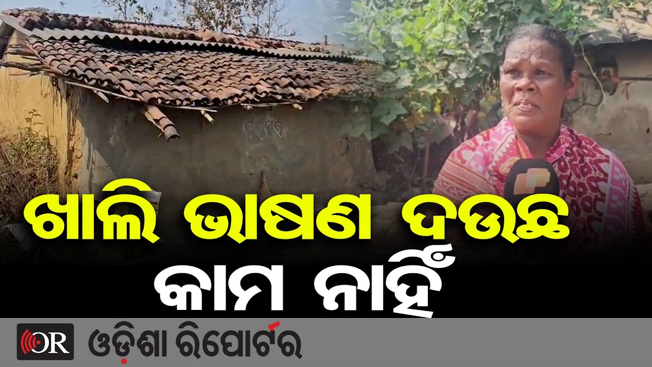 ମୁଣ୍ଡ ଗୁଞ୍ଜିବା ଲାଗି ଘର ଟିକକ ଲାଗି ଦୌଡି ଦୌଡ଼ି ନୟାନ୍ତ | Odisha Reporter