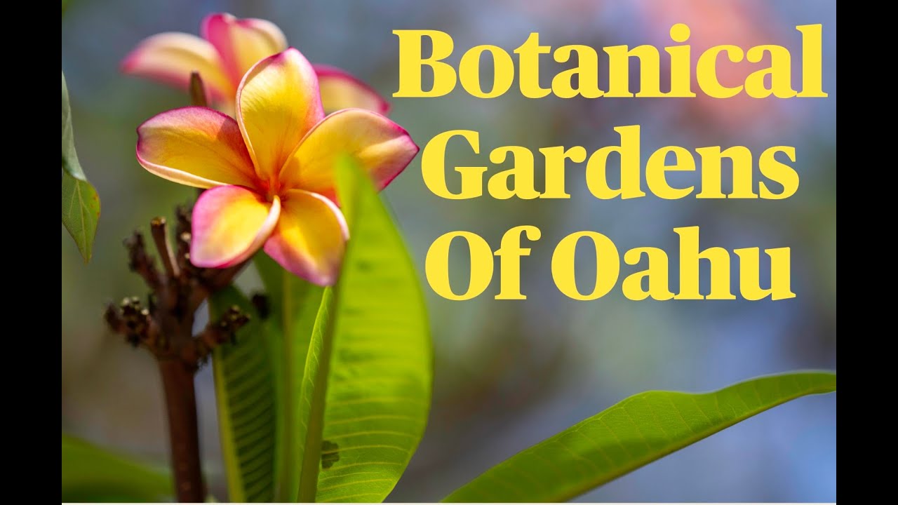 Oahu Botanical Gardens