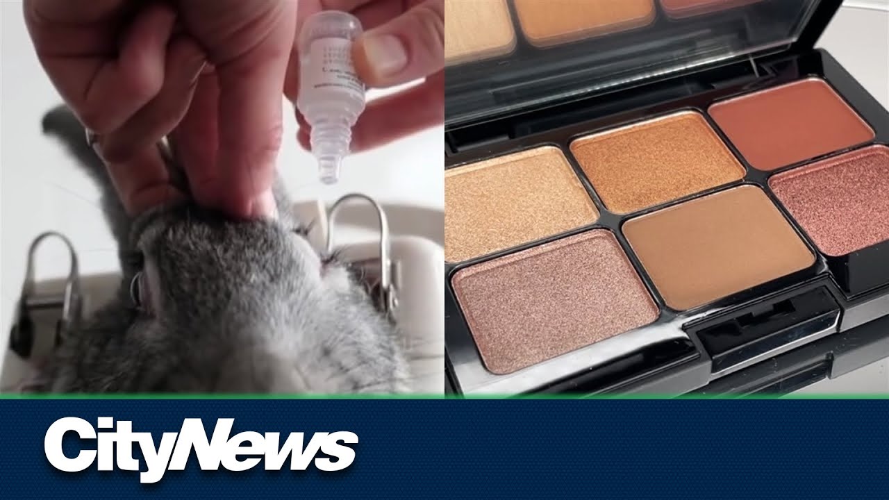 Vancouver organizations laud Health Canada’s ban on cosmetic animal testing